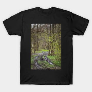 Hiking trail in the forest T-Shirt